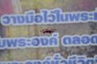 dsc_9926_small.jpg